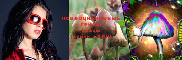 тгк Иннополис