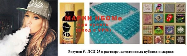 крисы Инта