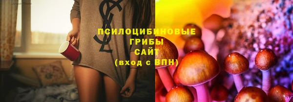 крисы Инта