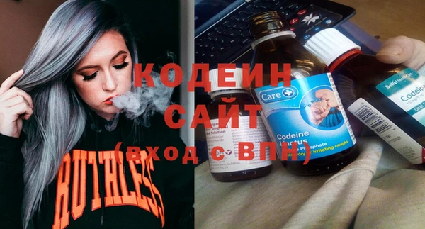 крисы Инта