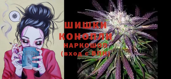 твердый Инсар