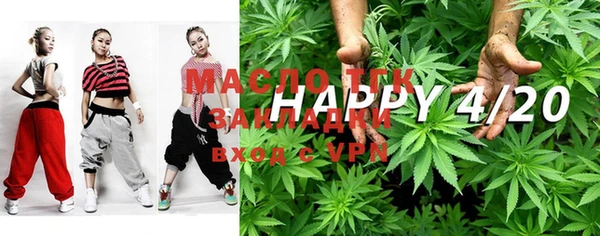 твердый Инсар