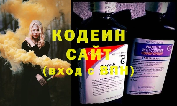 твердый Инсар