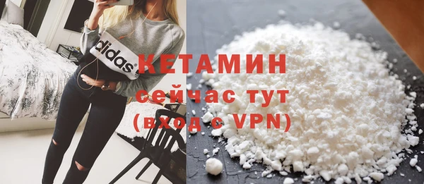 крисы Инта