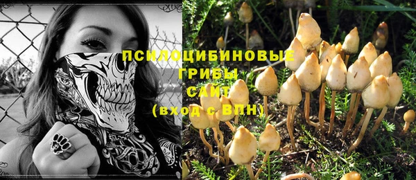 тгк Иннополис