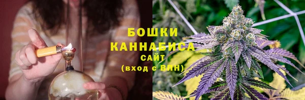 твердый Инсар