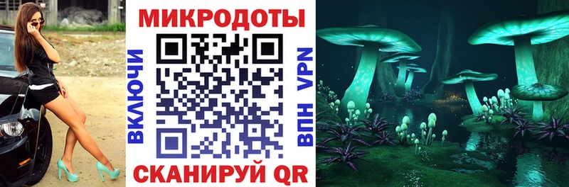 Купить  Кропоткин  Галлюциногенные грибы ЛСД 
